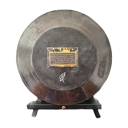 MichaelSchumacherCarbonFibreDiscArt_back